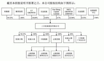 三只松鼠沖刺IPO 單類產品營收占大頭，食品互聯網銷售的破局之道